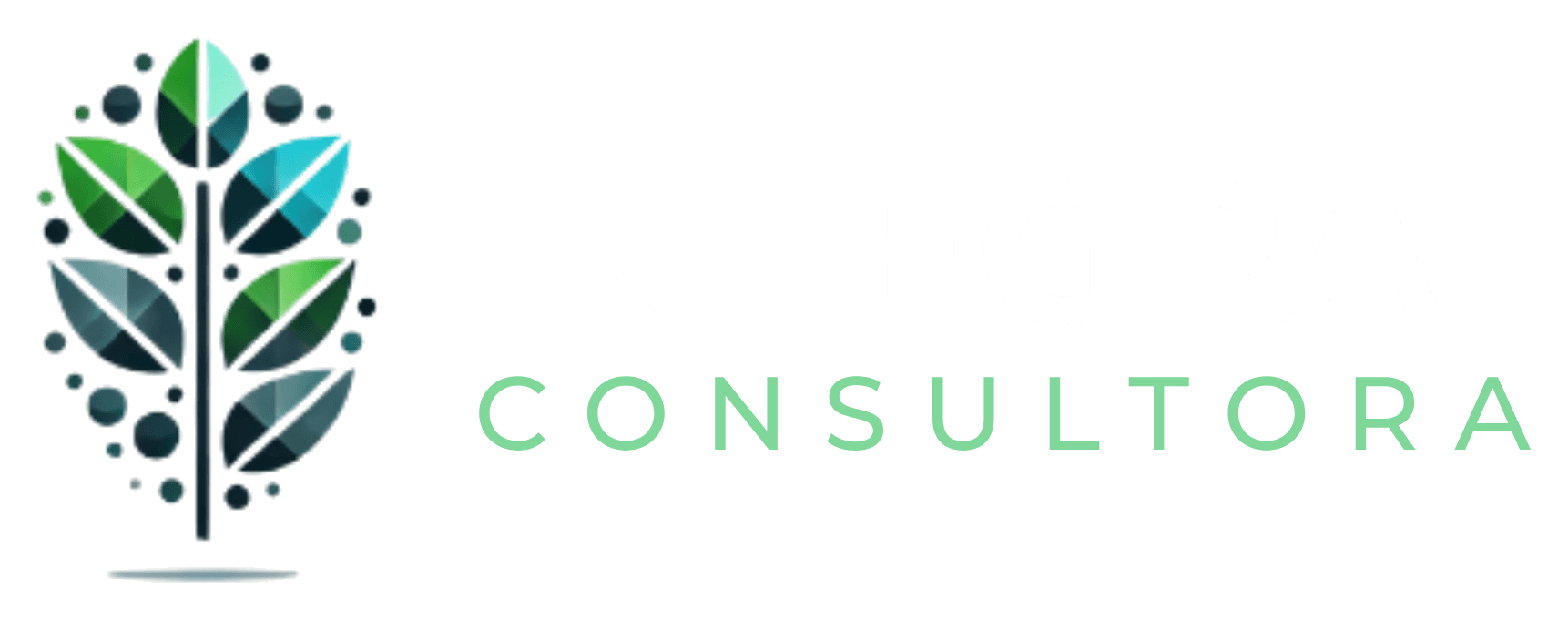 Integra Consultora